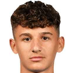 Nicholas Popescu fm21