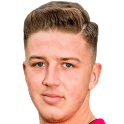 Andrei Voican fm 2021