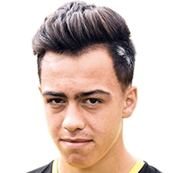 Razvan Hodorogea fm21