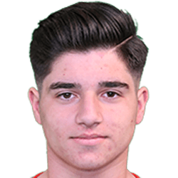 Valentin Mitrache fm21