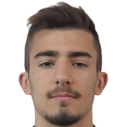 Fabian Petrescu fm21