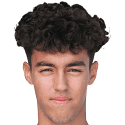 Robert Raducioiu fm21