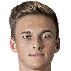 Cosmin Partenie fm 2021