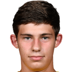 Valentin Grishin fm21