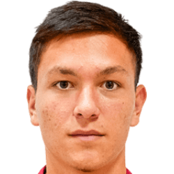 Vladimir Gerasimov fm21