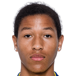 Mikael Marqués fm21