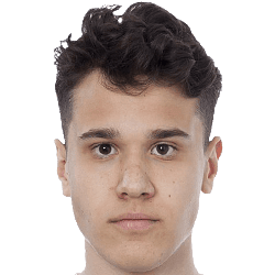 Sebastian Dimitrijevic fm 2021