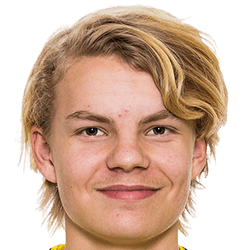 Helmer Bergström fm21