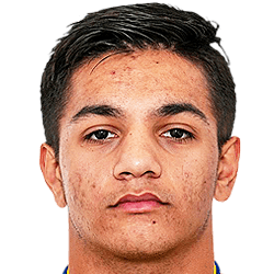 Demir Sulejmanovic fm21