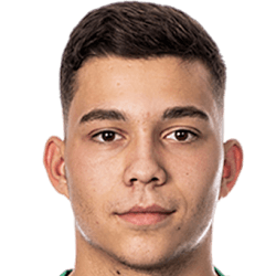 Aleksandar Mladenovic fm 2021