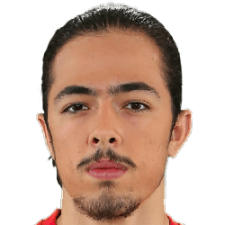 Harun Kavaklidere fm21