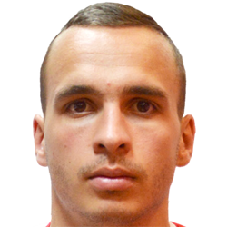 Milan Lazarevic fm21