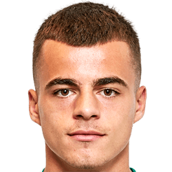 Dragoljub Savic fm 2021