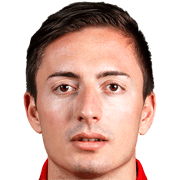 Vladimir Tufegdzic fm21