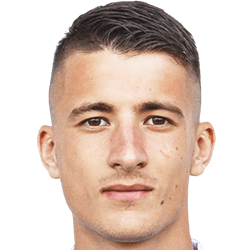 Danilo Mitrovic fm 2021