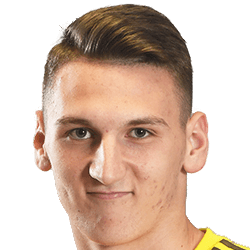 Damjan Knezevic fm21