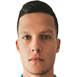 Despot Mihailovic fm 2021