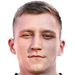 Nemanja Toroman fm 2021