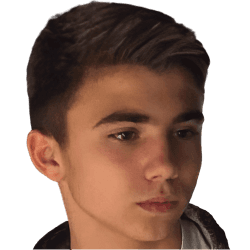 Aleksa Markovic fm21