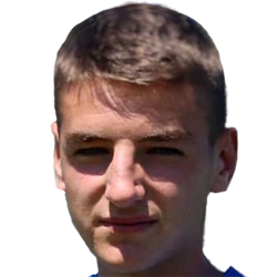 Faris Ajdinovic fm 2021