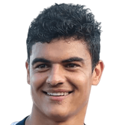 Carlos Beltrán fm21