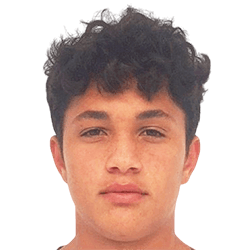 Matheus Palmério fm21