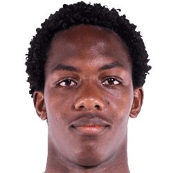 Djorkaeff Reasco fm21