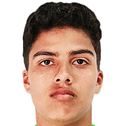 Fabrizio Salazar fm21