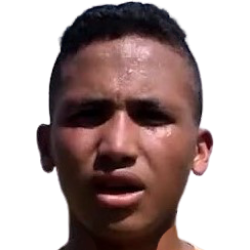 Brayan Alcócer fm21