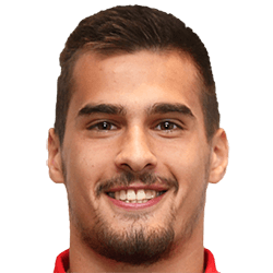 Novica Erakovic fm21