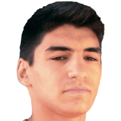 Matija Bozanovic fm21