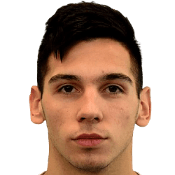 Petar Vukcevic fm21