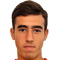 Niksa Vujanovic fm21