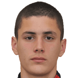 Petar Radulovic fm21