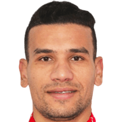 Mohamed Amine Hamia fm21