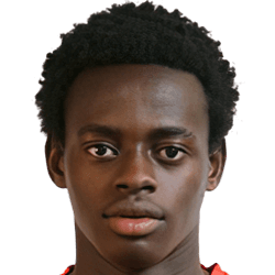 Zinedine Catraio fm21