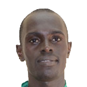 Ferdinand Gassina fm21